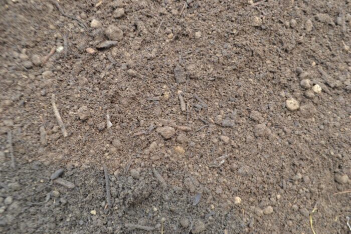 Triple Mix Soil
